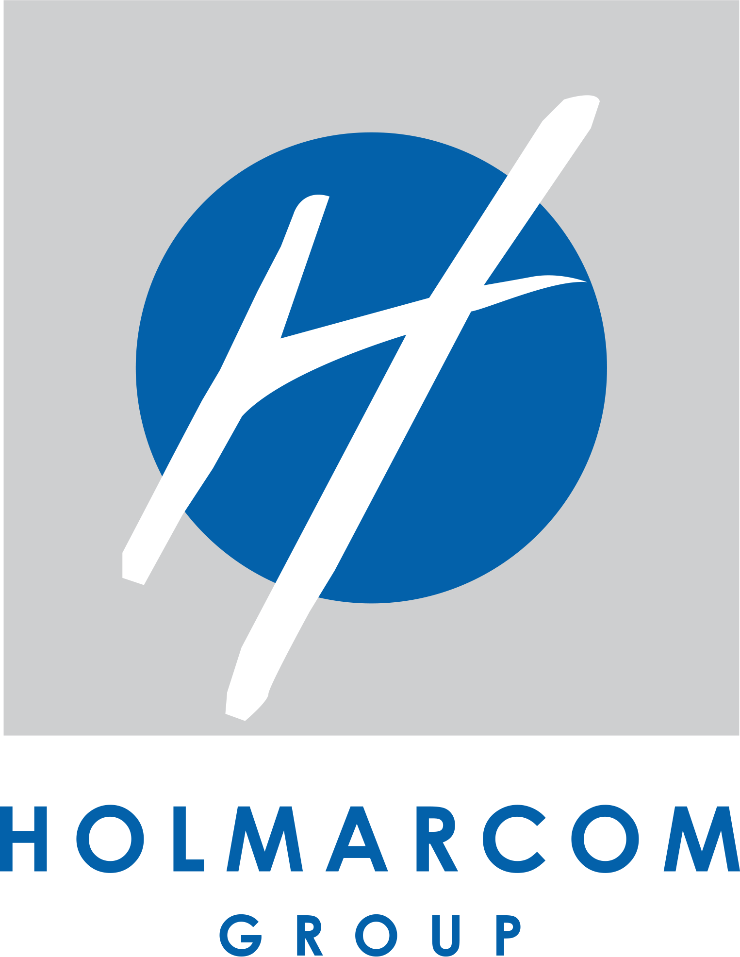 Groupe Holmarcom